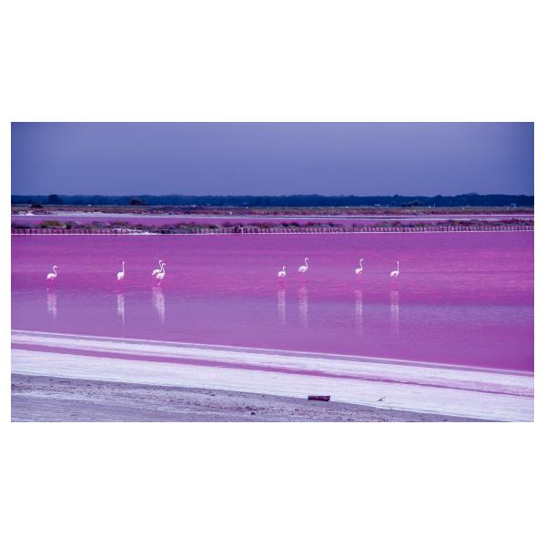 PHOTO84, CLUB, 84 , LUBERON